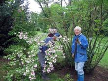 Foto von Wilhelm Frickh - Mit Freude und Eifer sind die Naturfreunde beim Arbeitseinsatz im Botanischen Garten dabei