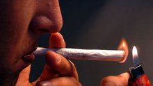 Neid auf Drogen-Plantage: Cannabis-Pflanzen geraubt am Mittwoch, 27. August 2014