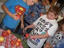 Foto (von Christian Wielander): Tag des Apfels in der Volksschule Frankenburg